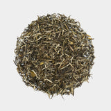 Load image into Gallery viewer, InJoyTea_Royal Jasmine Tea_Lingxiang
